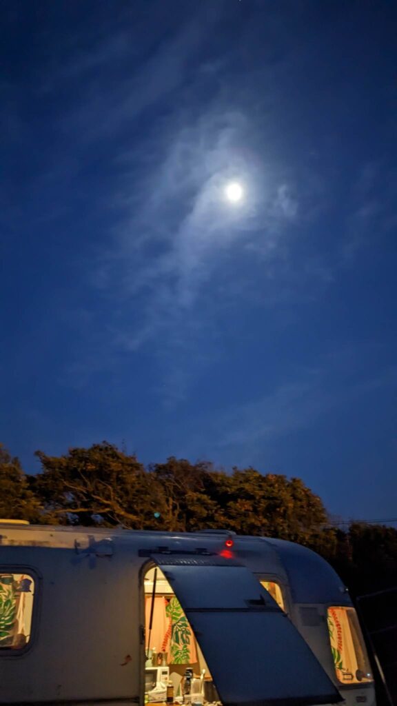 335764404_1380729562759773_6338204333624339769_n