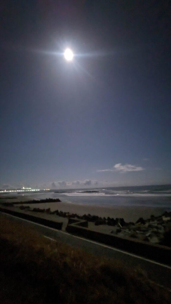 335775167_124998217192639_1628785138788185446_n